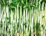超簡単〜豆苗ゴマ油炒め作り方1写真
