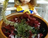 リカちゃん♡すだちつゆꕤ海藻ぶどうサラダ作り方5写真