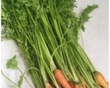 にんじんの葉のナムル作り方1写真