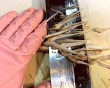 包丁で本格ささがきごぼうを手早く簡単に★作り方3写真