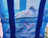 釣った魚で鯖の一夜干し☆鯵、真鯛、鰤共通作り方3写真