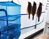 釣った魚で鯖の一夜干し☆鯵、真鯛、鰤共通作り方4写真