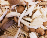 キノコ類で醤油煮！ご飯のお供ナメタケ風？作り方1写真