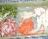夏にお勧め野菜いっぱいのつけ麺作り方1写真