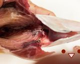 カイワリの捌き方(刺身まで)鯵の仲間作り方5写真