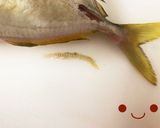 カイワリの捌き方(刺身まで)鯵の仲間作り方8写真