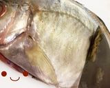 カイワリの捌き方(刺身まで)鯵の仲間作り方9写真