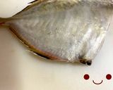 カイワリの捌き方(刺身まで)鯵の仲間作り方13写真