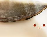 カイワリの捌き方(刺身まで)鯵の仲間作り方15写真