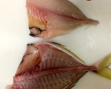 カイワリの捌き方(刺身まで)鯵の仲間作り方16写真