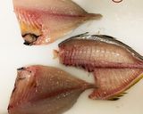 カイワリの捌き方(刺身まで)鯵の仲間作り方17写真