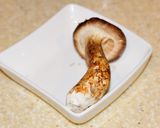 drtomの松茸と牛肉のパスタ作り方2写真