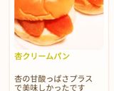 杏クリームパン作り方16写真