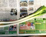 長ねぎの保存 超簡単 新聞紙で包むだけ作り方1写真