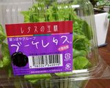 レタスのパックン容器を半端野菜の保存活用作り方1写真