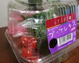 レタスのパックン容器を半端野菜の保存活用作り方3写真