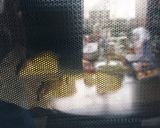 アップルパイ！パイシートで作りました❗作り方5写真