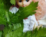 リカちゃん♡ハロウィン？セロリ塩麹浅漬け作り方1写真