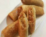 夕飯！白菜春巻き作り方1写真