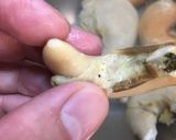 ほたてはらこ時雨煮ふう作り方5写真