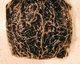 簡単◎お洒落◎おにぎらず作り方7写真