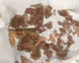 じっくり揚げた鶏のネギソース（油淋鶏）作り方5写真