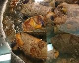 牛巻きカレー温玉添え作り方4写真