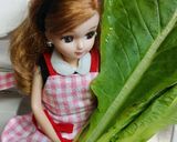 リカちゃん♡小松菜納豆ꕤ*.゚作り方1写真
