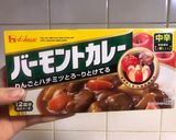 カレーの作り方なんてみんな一緒やろカレー作り方19写真