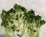 日本酒ビールに合うササミと搾菜のあえもの作り方7写真