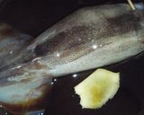 わた入り♪イカの丸ごと煮♪下処理説明有♪作り方5写真