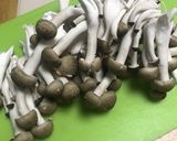 きのこパスタ(いろいろきのこの蒸し煮)作り方2写真