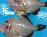 丸はぎの煮付け（下処理から）作り方6写真