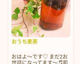 おうち麦茶作り方24写真