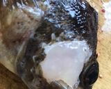 ソイの希少部位の刺し身作り方3写真