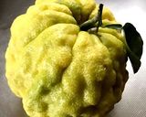 鬼柚子(おにゆず)とかつおのタタキ作り方1写真