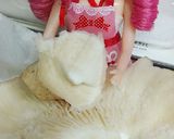 逆に？リカちゃん体感椎茸ハンバーグ(和)作り方3写真