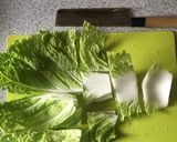 白菜とサーモンのサラダ作り方1写真