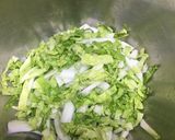 白菜とサーモンのサラダ作り方3写真