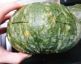 ハロウィン☆ジャックオランタンの掘り方作り方1写真