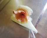 ピザトースト用冷凍具シート作り方4写真