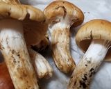 クリフウセンタケ、とろろ昆布の焼きキノコ作り方2写真