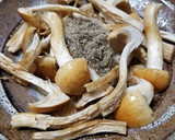 クリフウセンタケ、とろろ昆布の焼きキノコ作り方4写真