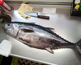 マグロ山かけない作り方1写真