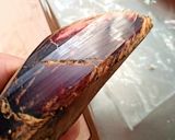 ずるいきのこ作り方10写真
