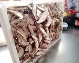ずるいきのこ作り方17写真