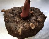 ぷるんぷるんの手作りこんにゃく作り方3写真