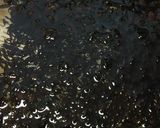 ひじきの戻し方＼_(･ω･｀)作り方2写真