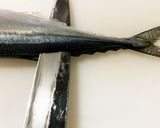 【基本】さんまの三枚おろし(刺身まで)作り方8写真