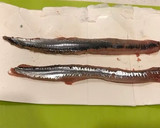 簡単に秋刀魚をさばいて、サンマの蒲焼き作り方1写真